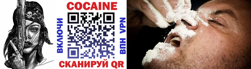 нарко площадка наркотические препараты  Сысерть  Cocaine FishScale  где купить наркотик 