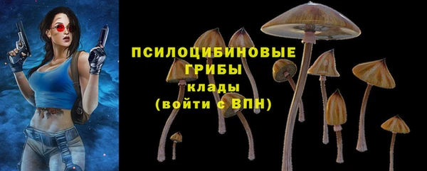 хмурый Михайлов
