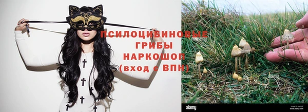 прущая мука Надым